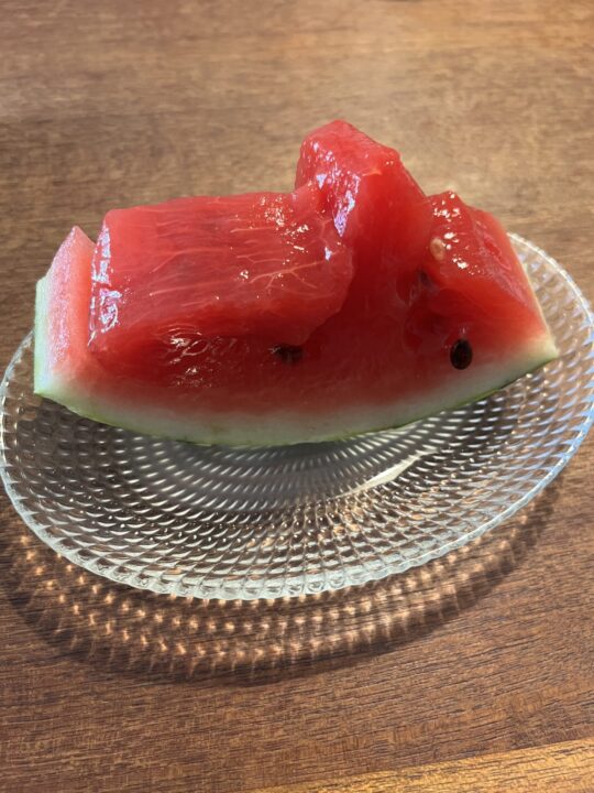 トロトロ〜食べられなくもないですがおいしくはない。涙