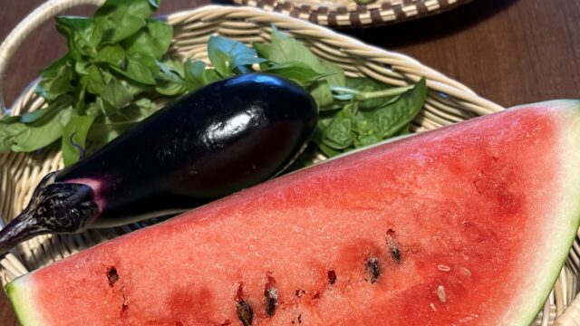 先生の育てた中玉スイカ。おいしそう。